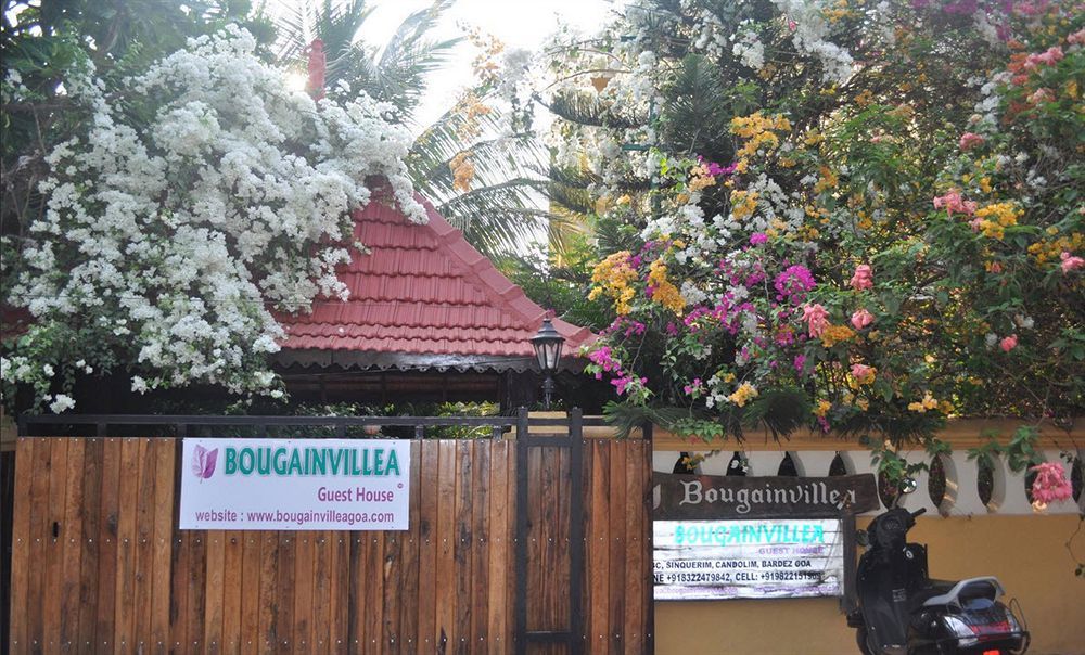 Bougainvillea Guest House Кандолим Экстерьер фото